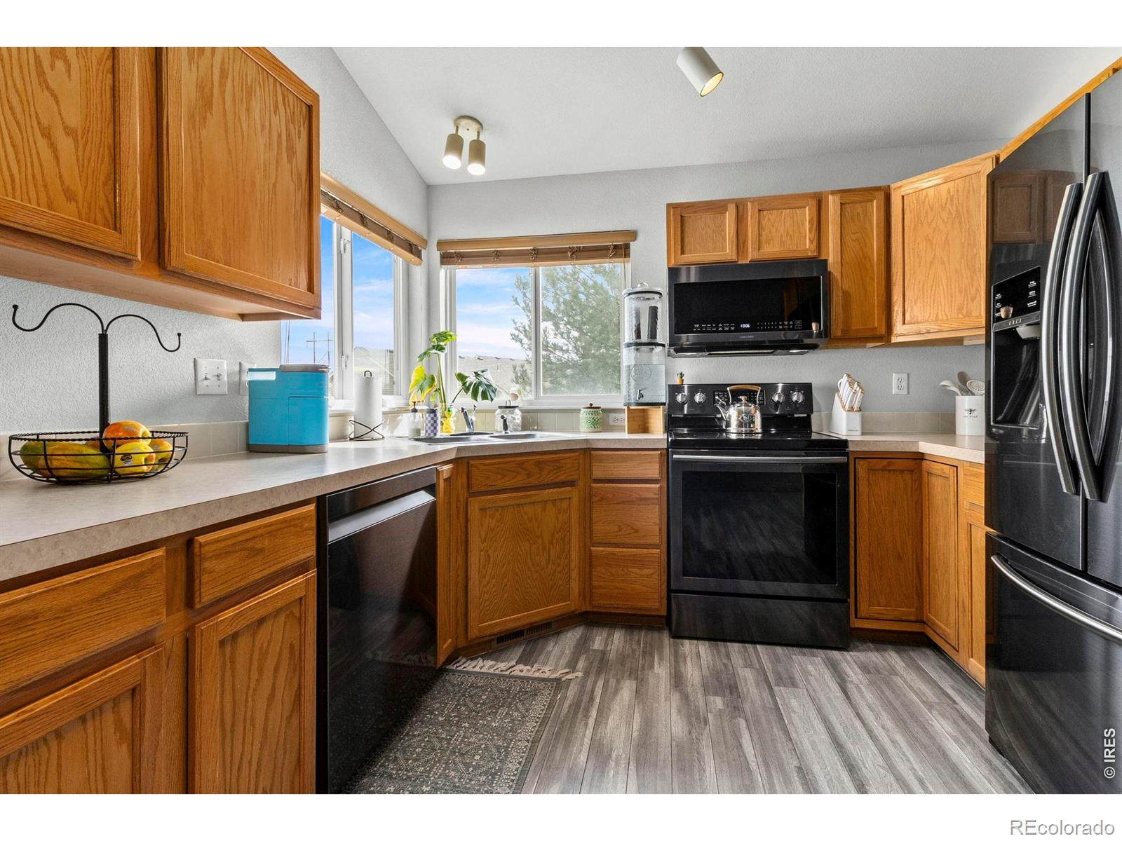 1098 Lavender Avenue Loveland CO 80537