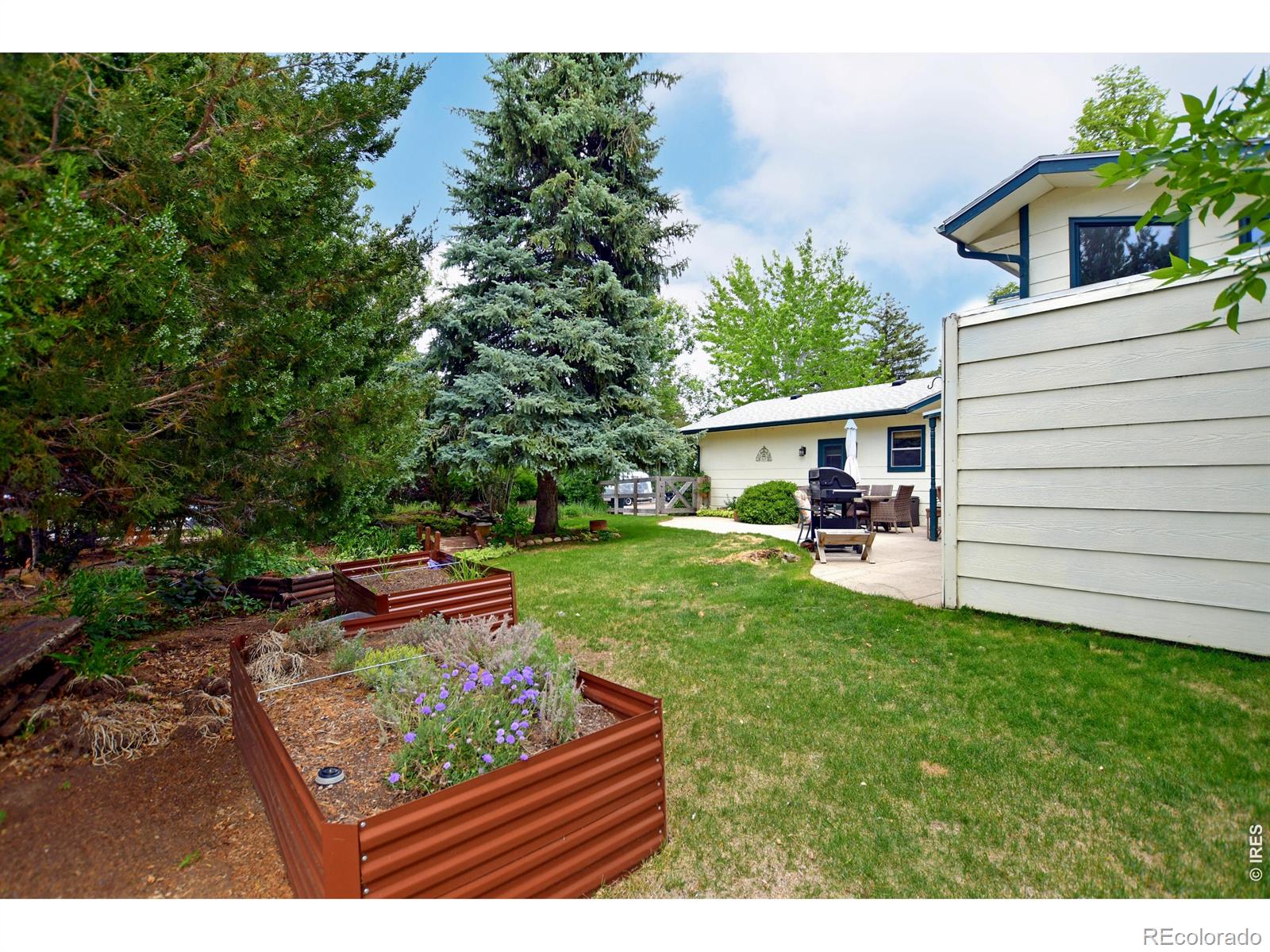 6217 Constellation Drive Fort Collins CO 80525