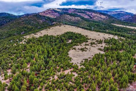 10475 County Road 12 Cotopaxi CO 81223