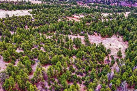 10475 County Road 12 Cotopaxi CO 81223