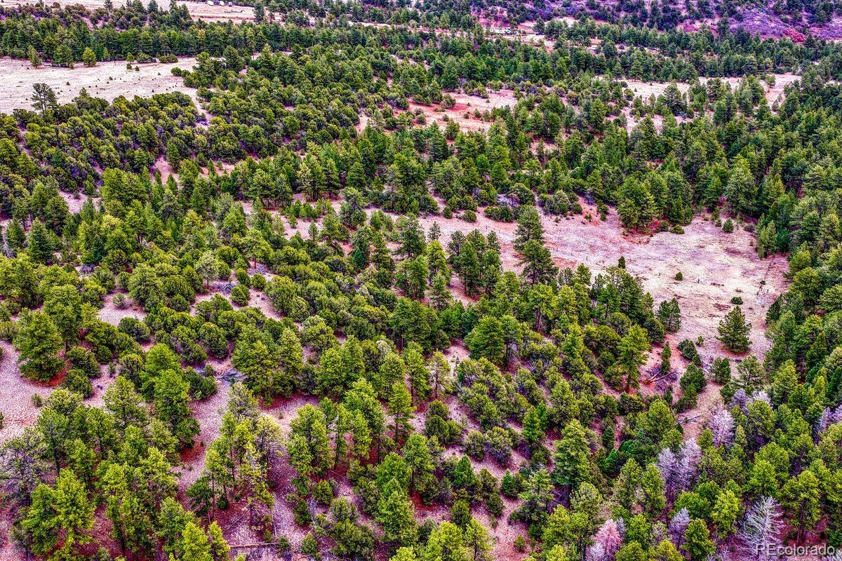 10475 County Road 12 Cotopaxi CO 81223