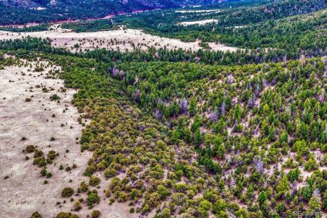 10475 County Road 12 Cotopaxi CO 81223