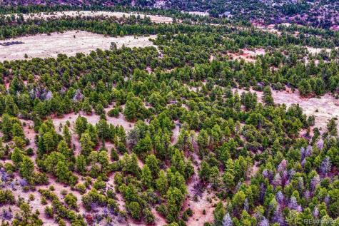 10475 County Road 12 Cotopaxi CO 81223