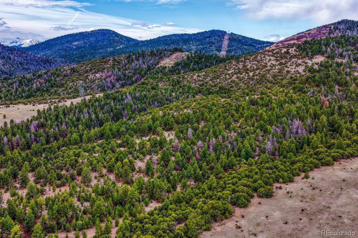 10475 County Road 12 Cotopaxi CO 81223