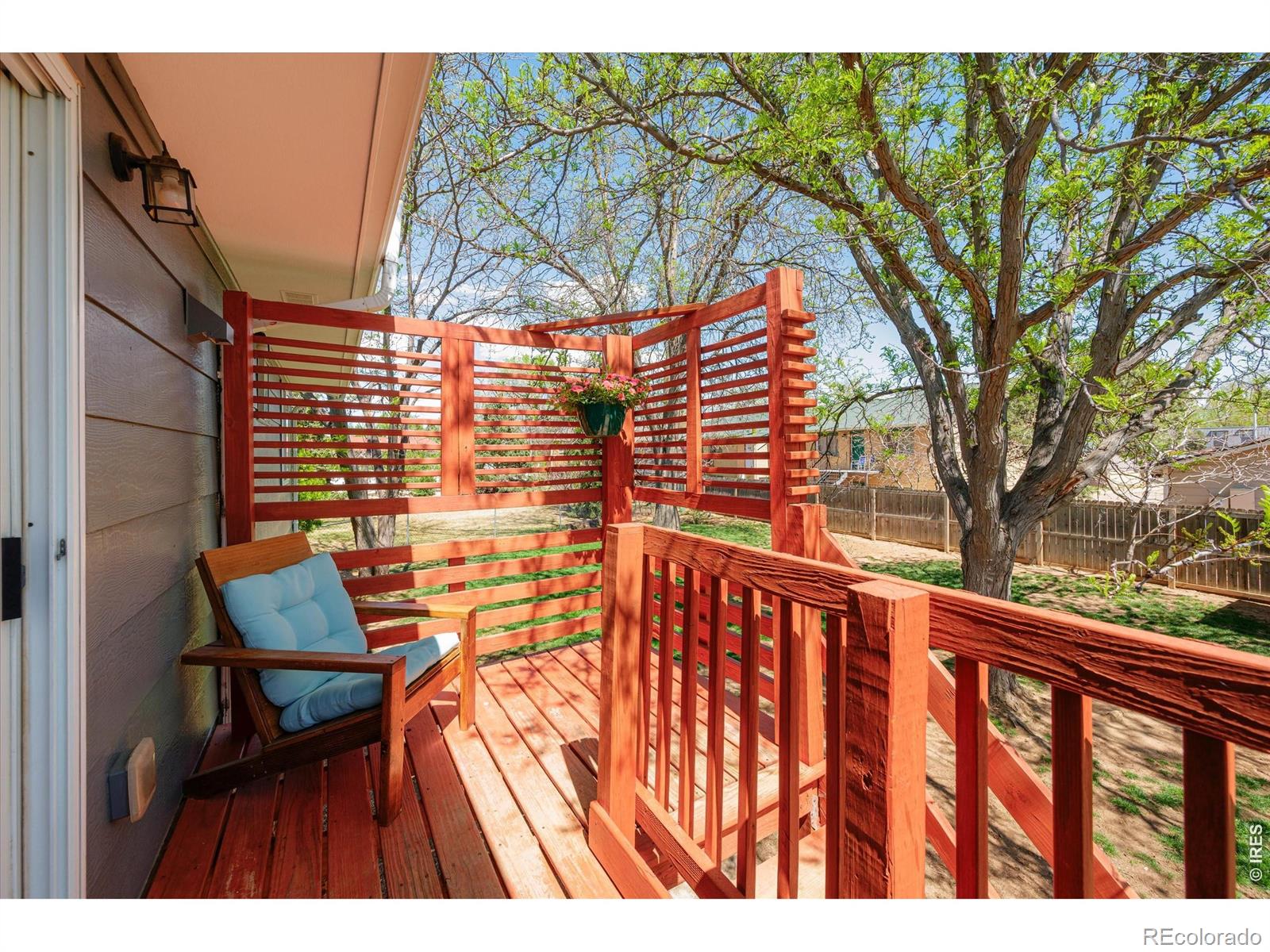 811 Table Mountain Court Windsor CO 80550