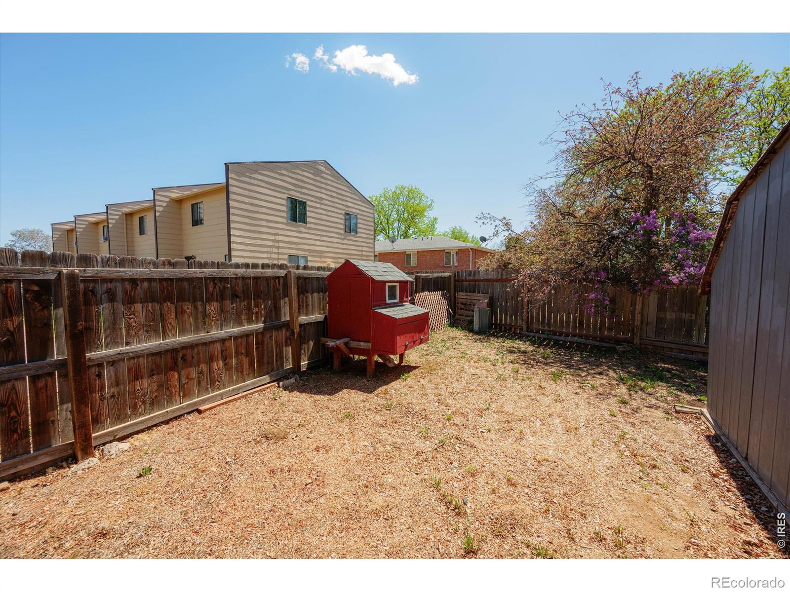 811 Table Mountain Court Windsor CO 80550