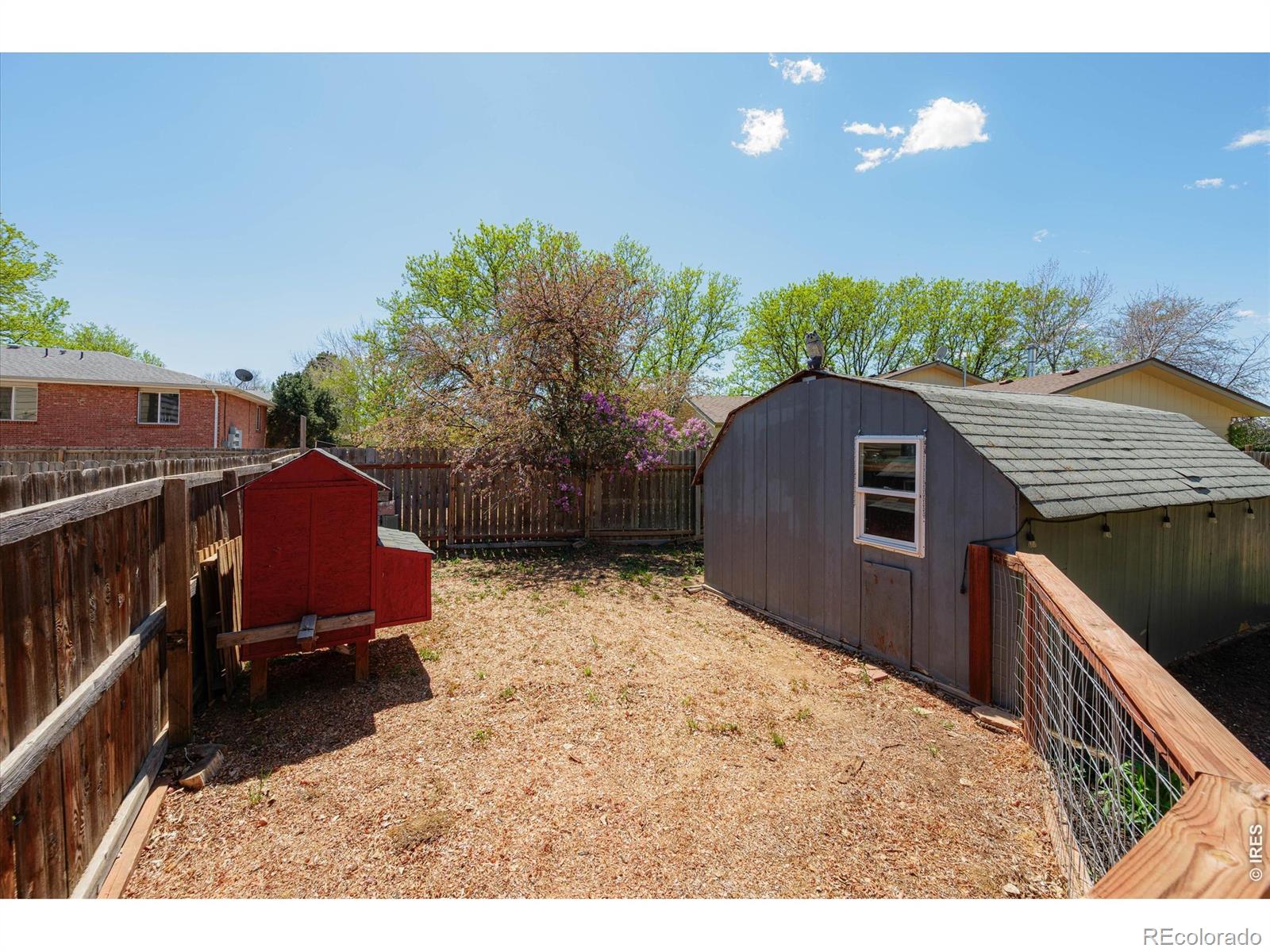 811 Table Mountain Court Windsor CO 80550