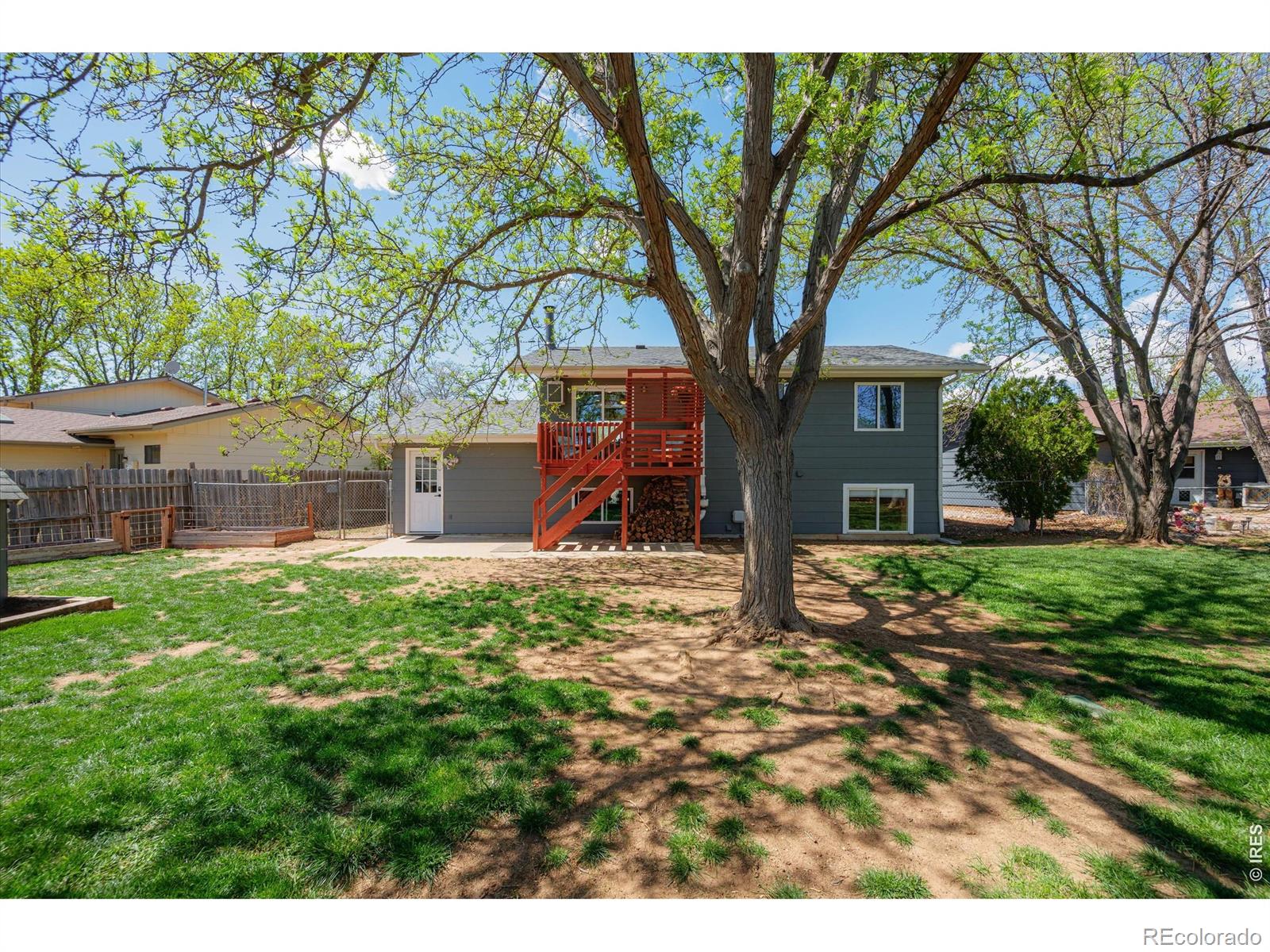 811 Table Mountain Court Windsor CO 80550