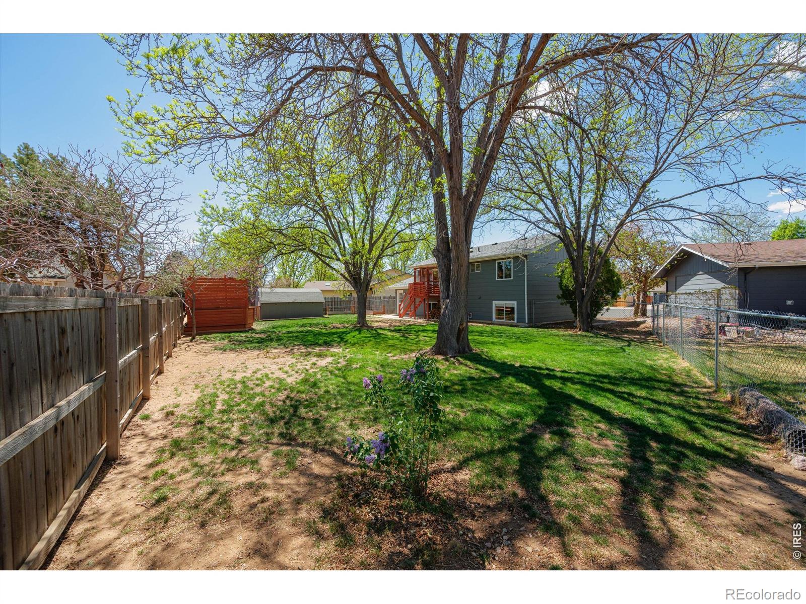 811 Table Mountain Court Windsor CO 80550