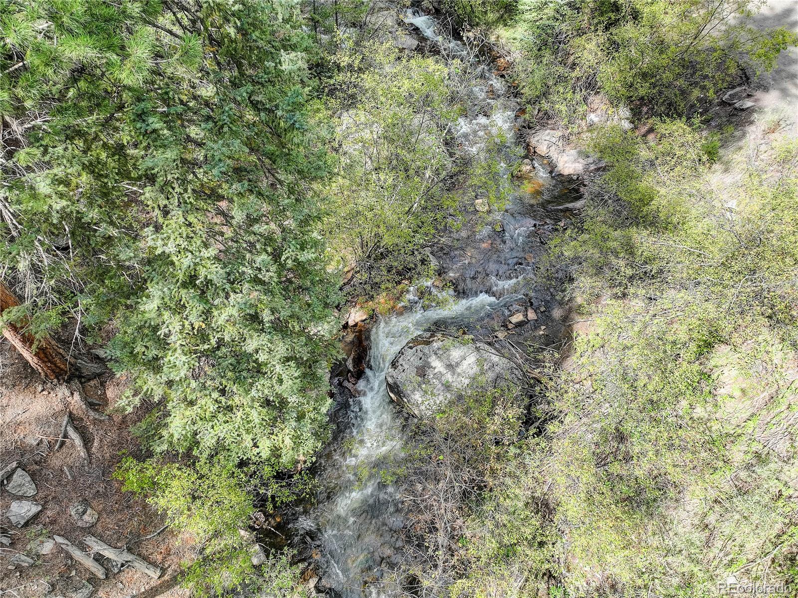14662 S Elk Creek Road Pine CO 80470