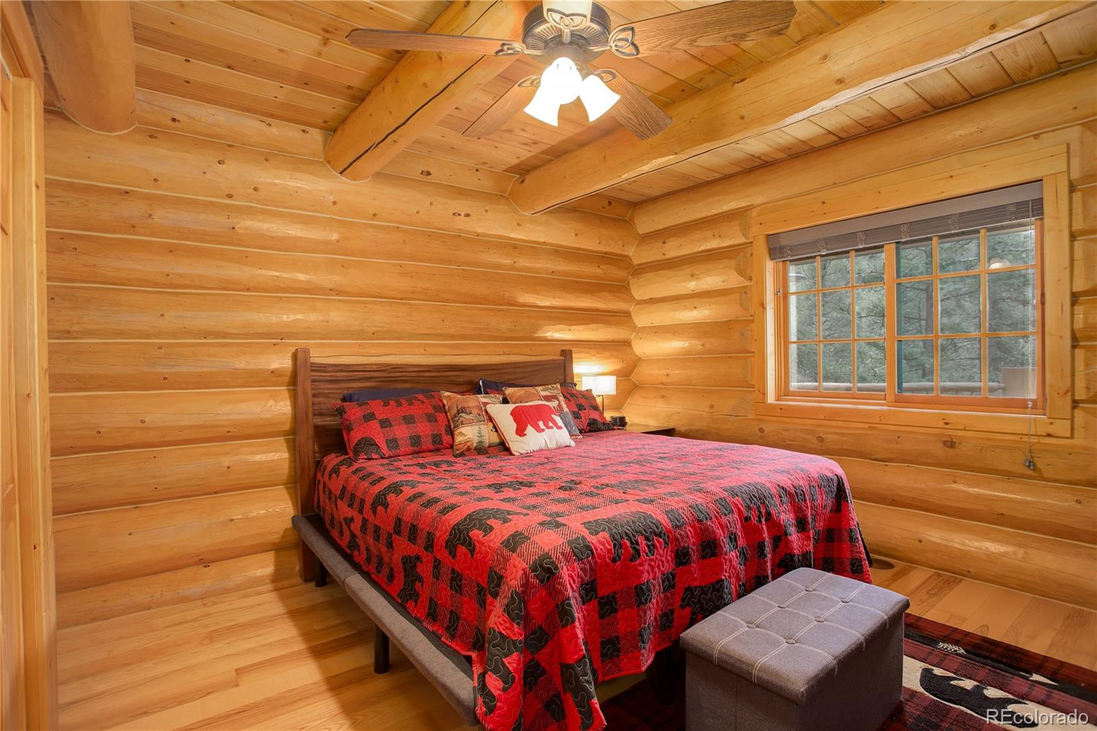 14662 S Elk Creek Road Pine CO 80470