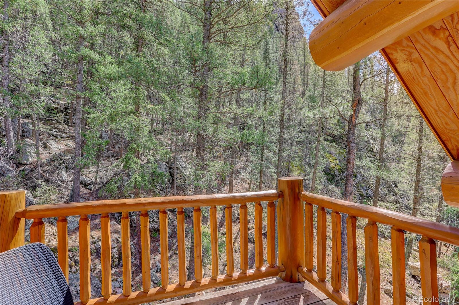 14662 S Elk Creek Road Pine CO 80470