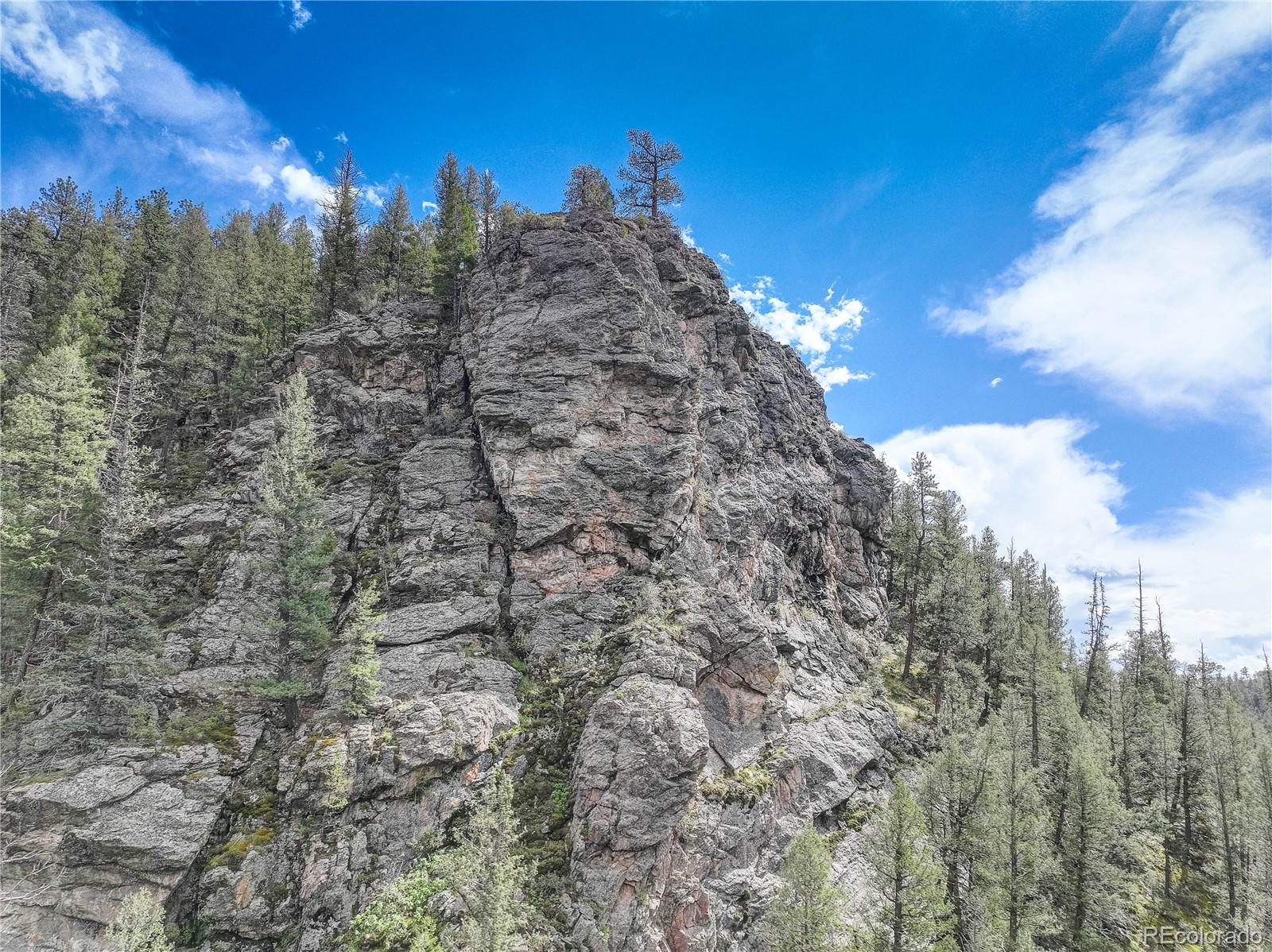 14662 S Elk Creek Road Pine CO 80470