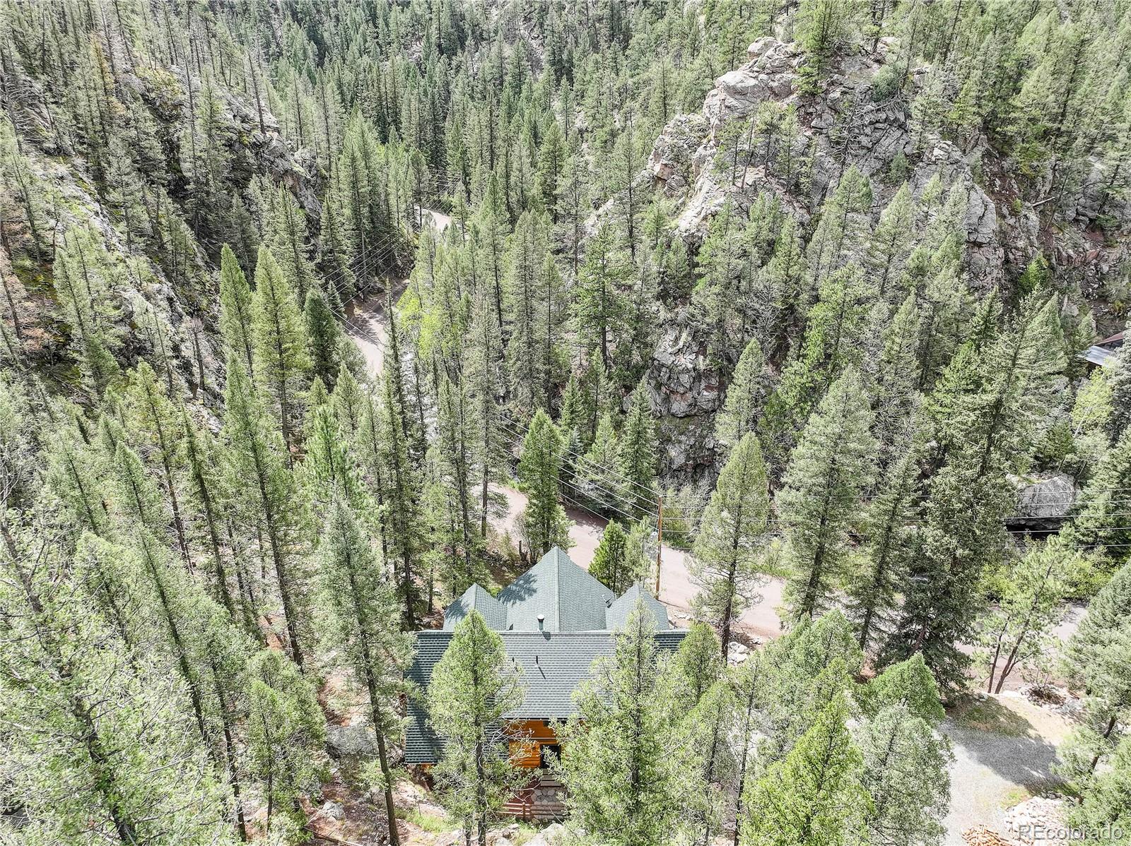 14662 S Elk Creek Road Pine CO 80470
