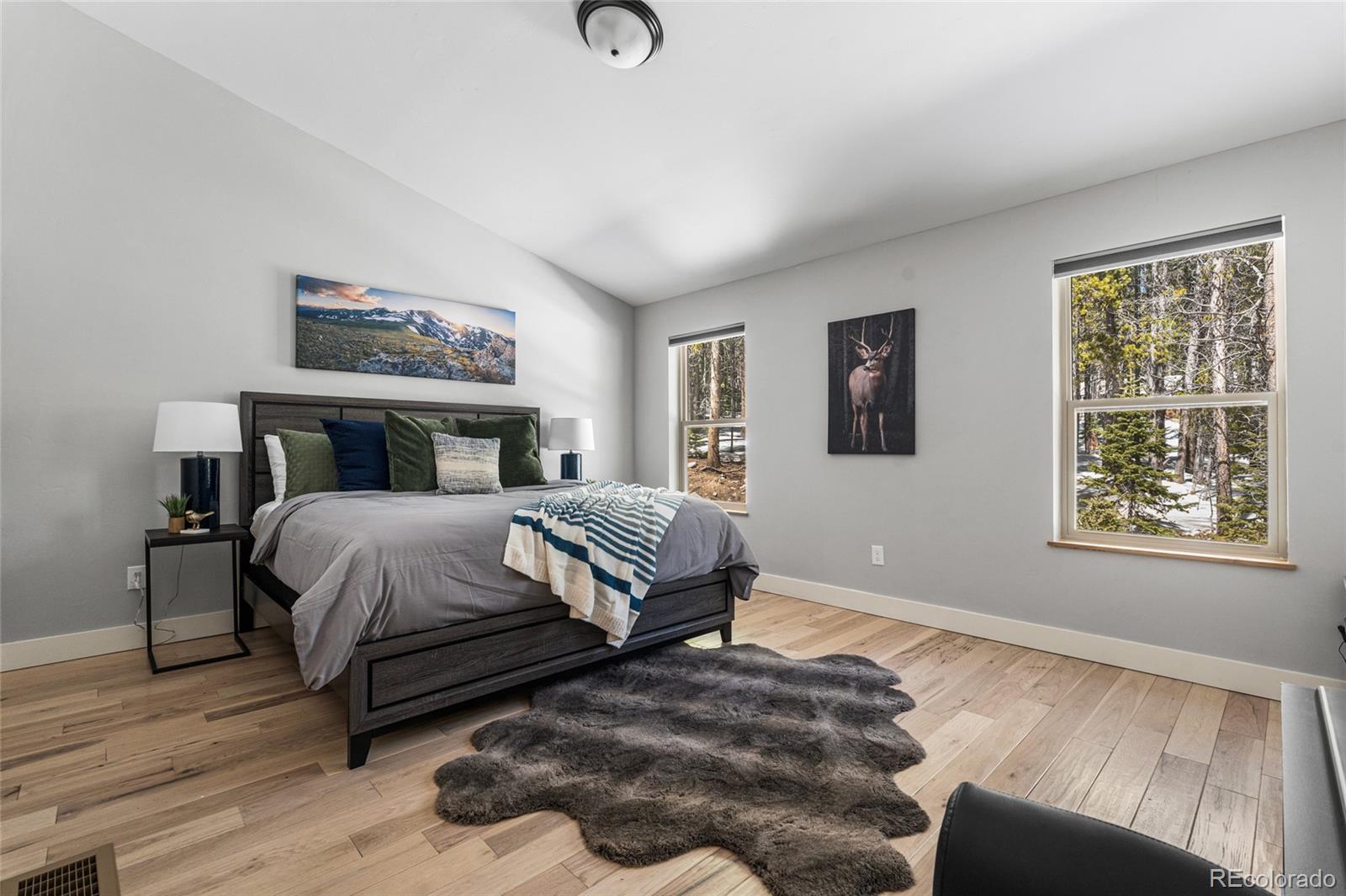 79 Beaver Road Idaho Springs CO 80452