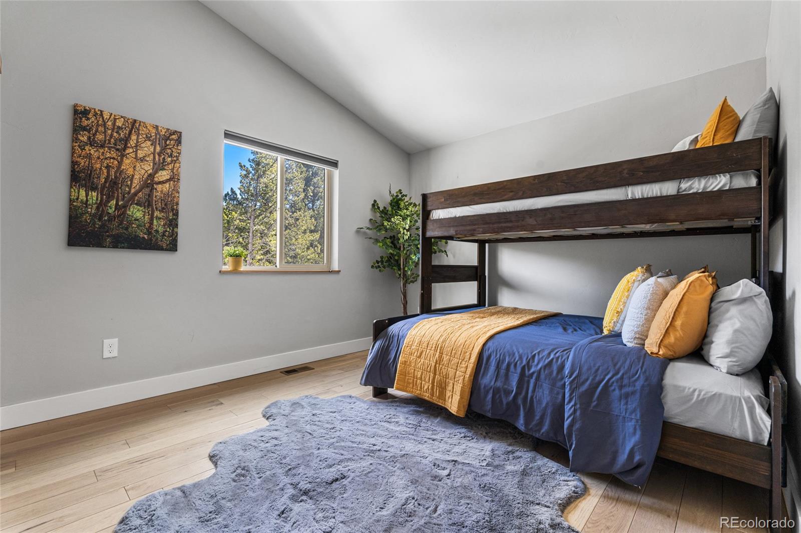 79 Beaver Road Idaho Springs CO 80452
