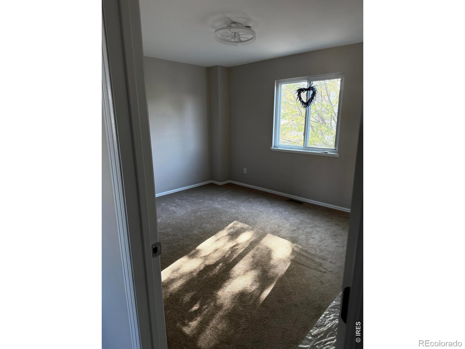 3407 Collins Avenue Evans CO 80620