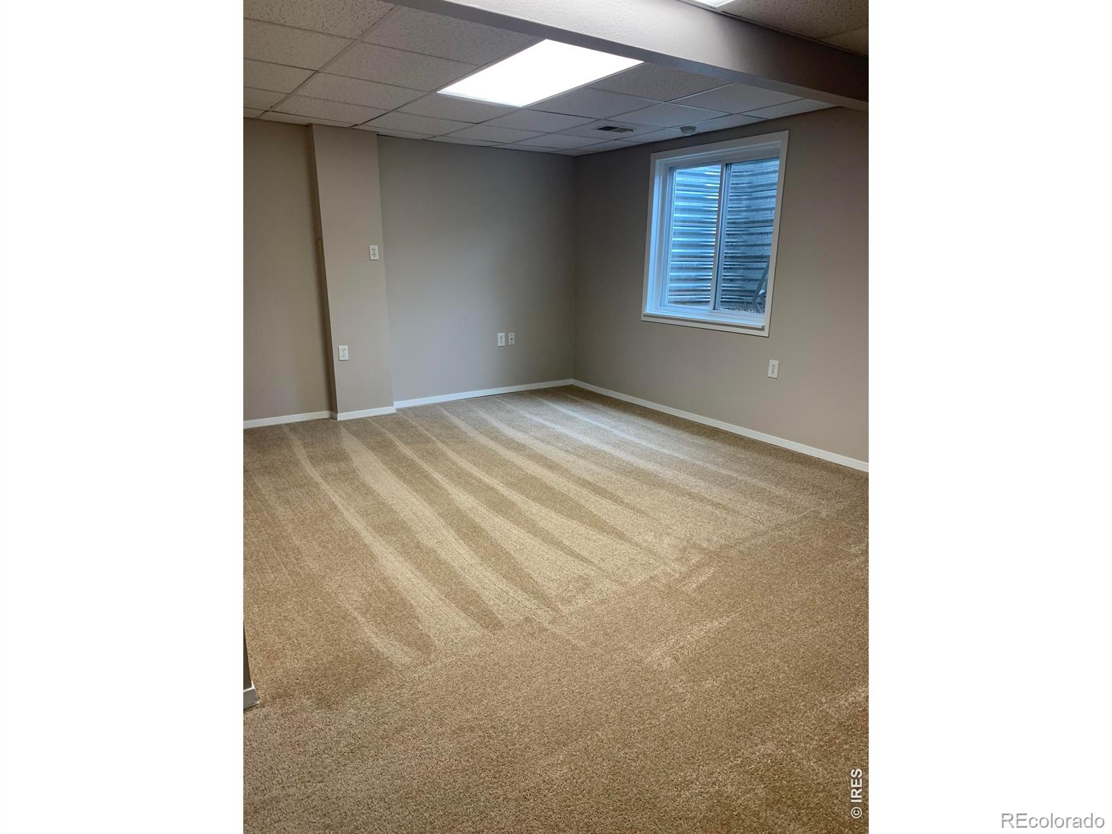 3407 Collins Avenue Evans CO 80620