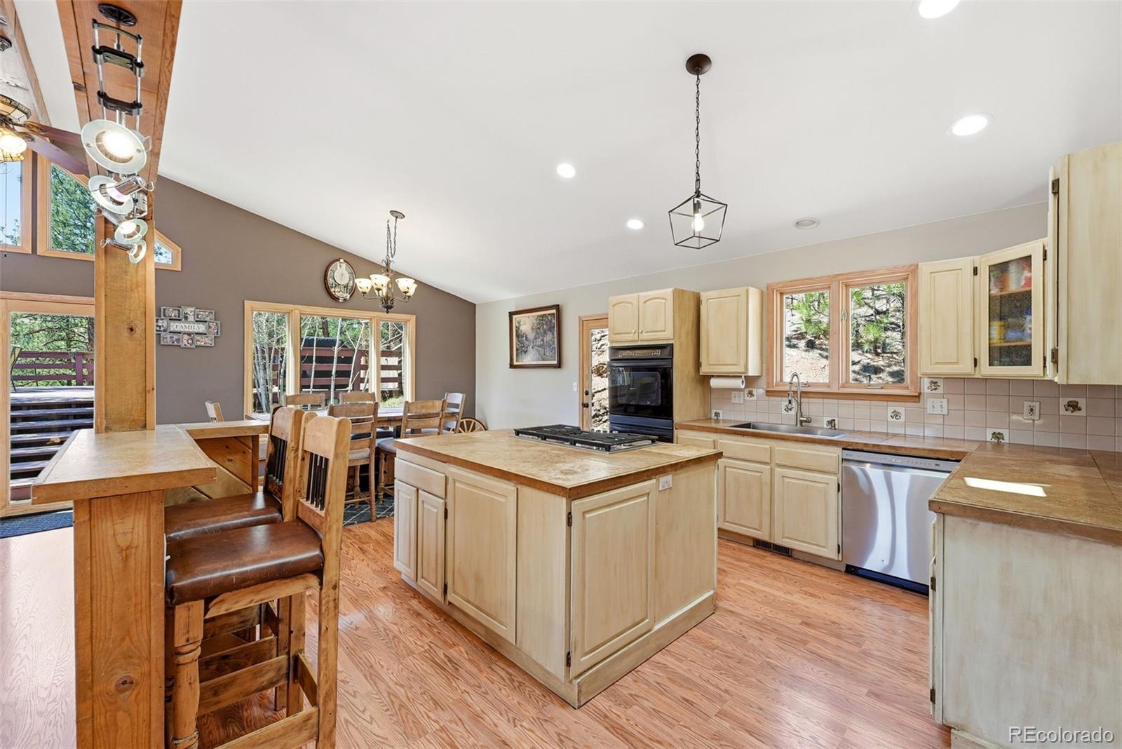 16687 Ouray Road W Pine CO 80470