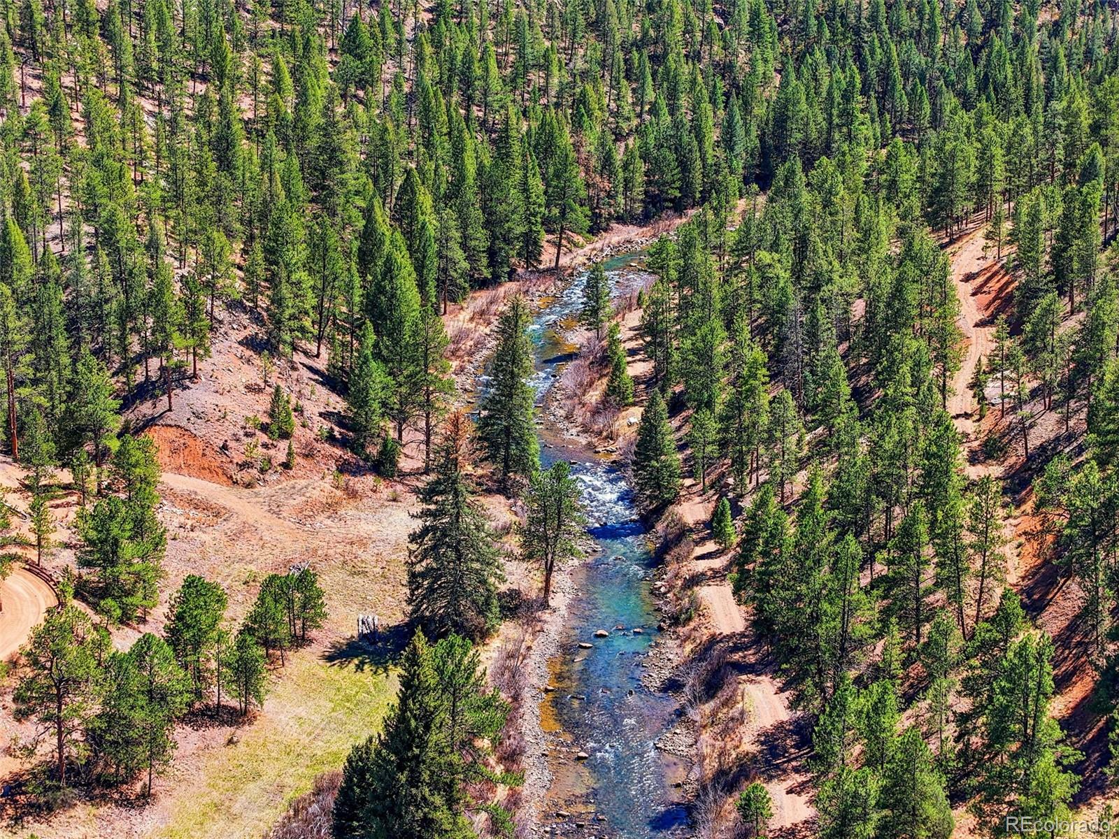 16687 Ouray Road W Pine CO 80470