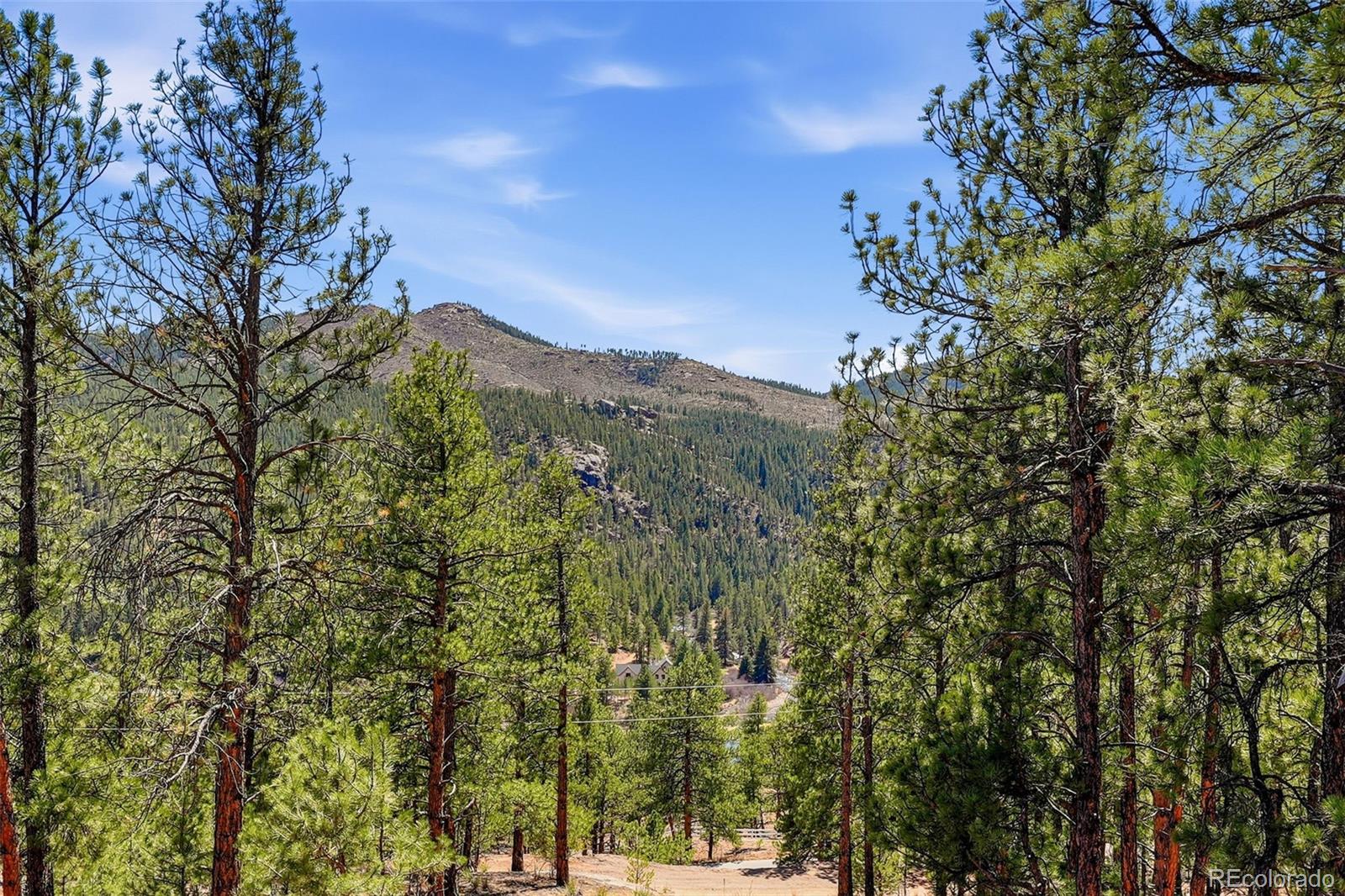 16687 Ouray Road W Pine CO 80470