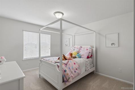 3008 Echo Park Drive Castle Rock CO 80104