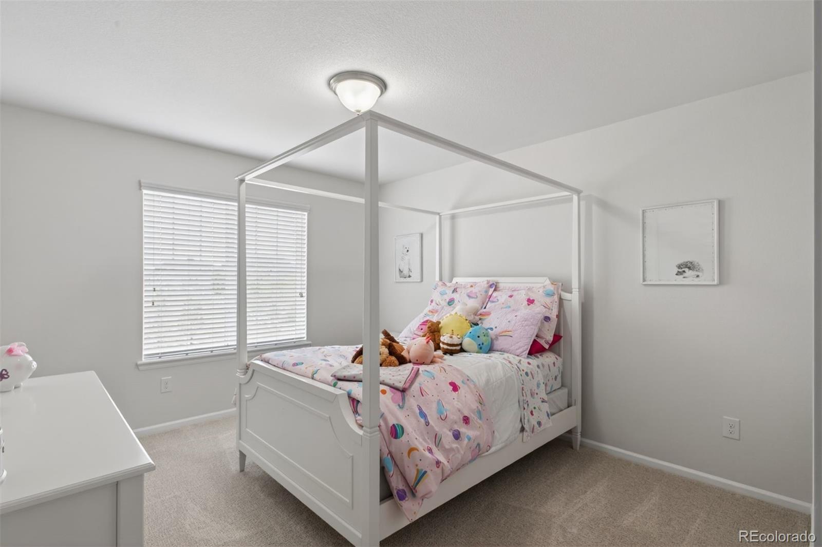 3008 Echo Park Drive Castle Rock CO 80104