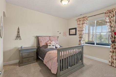 3008 Echo Park Drive Castle Rock CO 80104