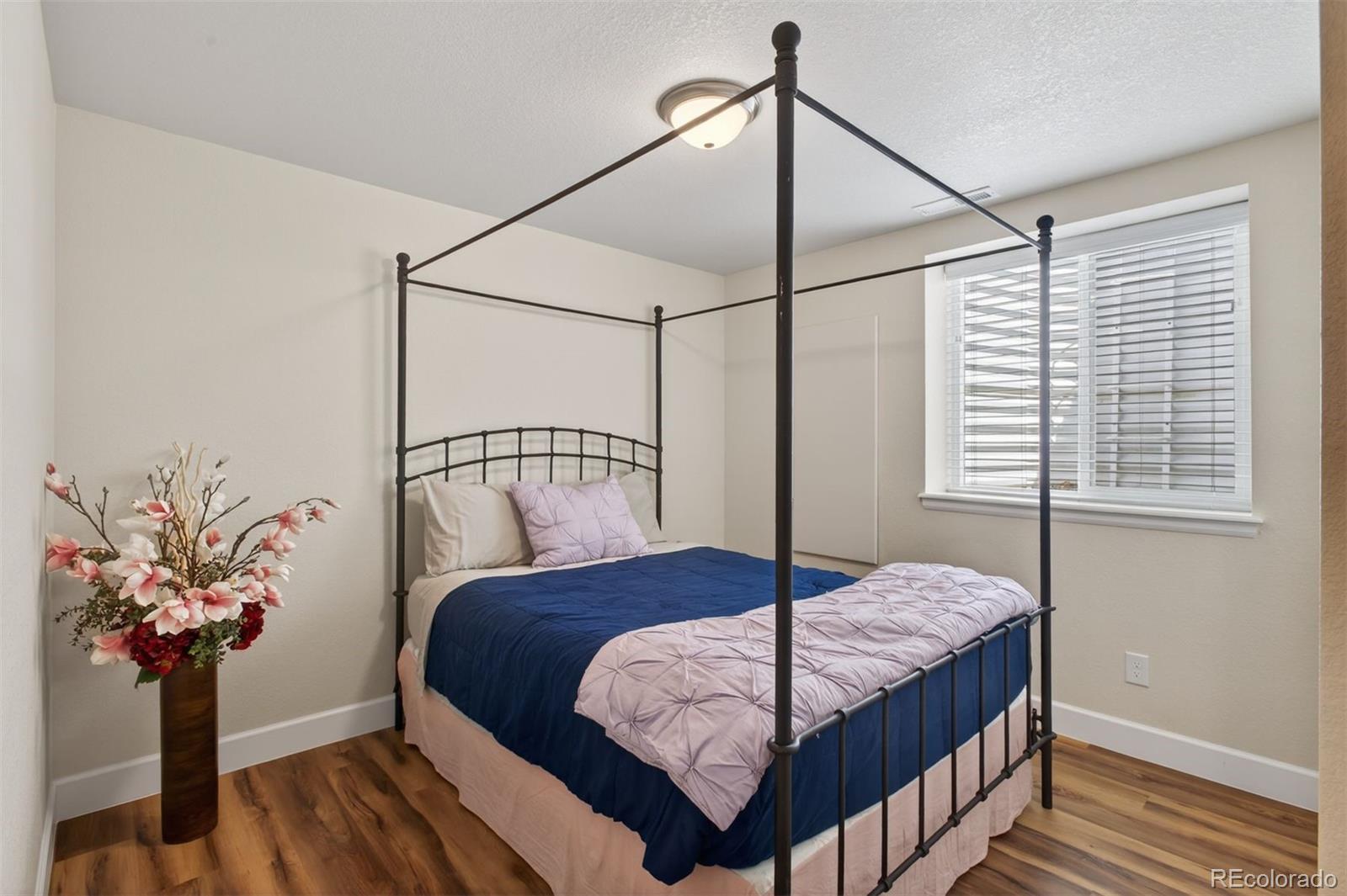 3008 Echo Park Drive Castle Rock CO 80104