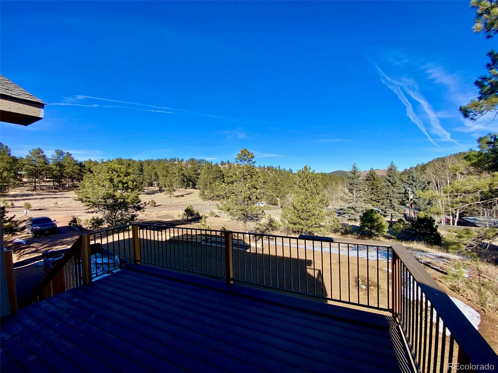 174 Chickadee Drive Bailey CO 80421