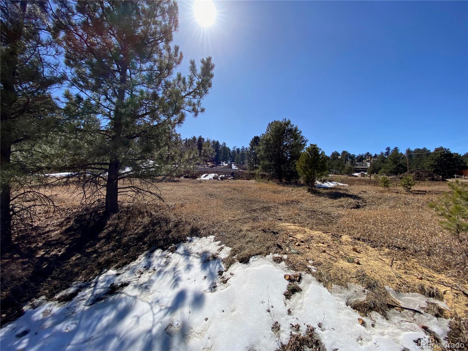 174 Chickadee Drive Bailey CO 80421