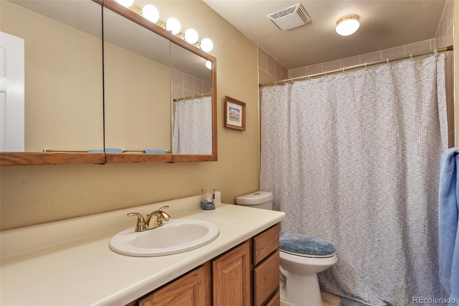 6176 S Cook Street Centennial CO 80121