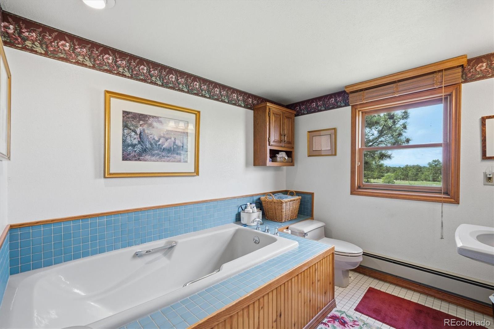 2219 Meadow Green Circle Franktown CO 80116