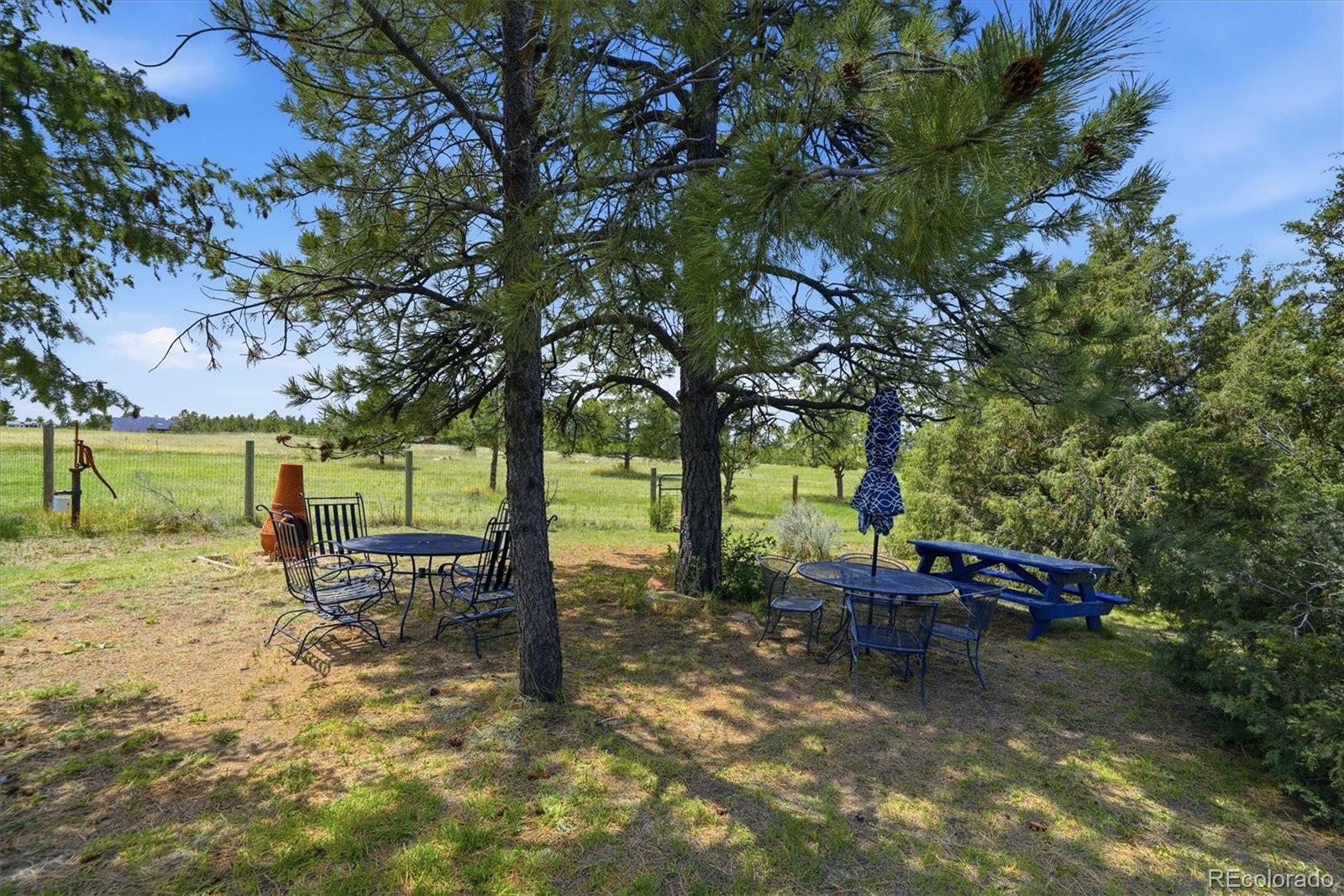 2219 Meadow Green Circle Franktown CO 80116