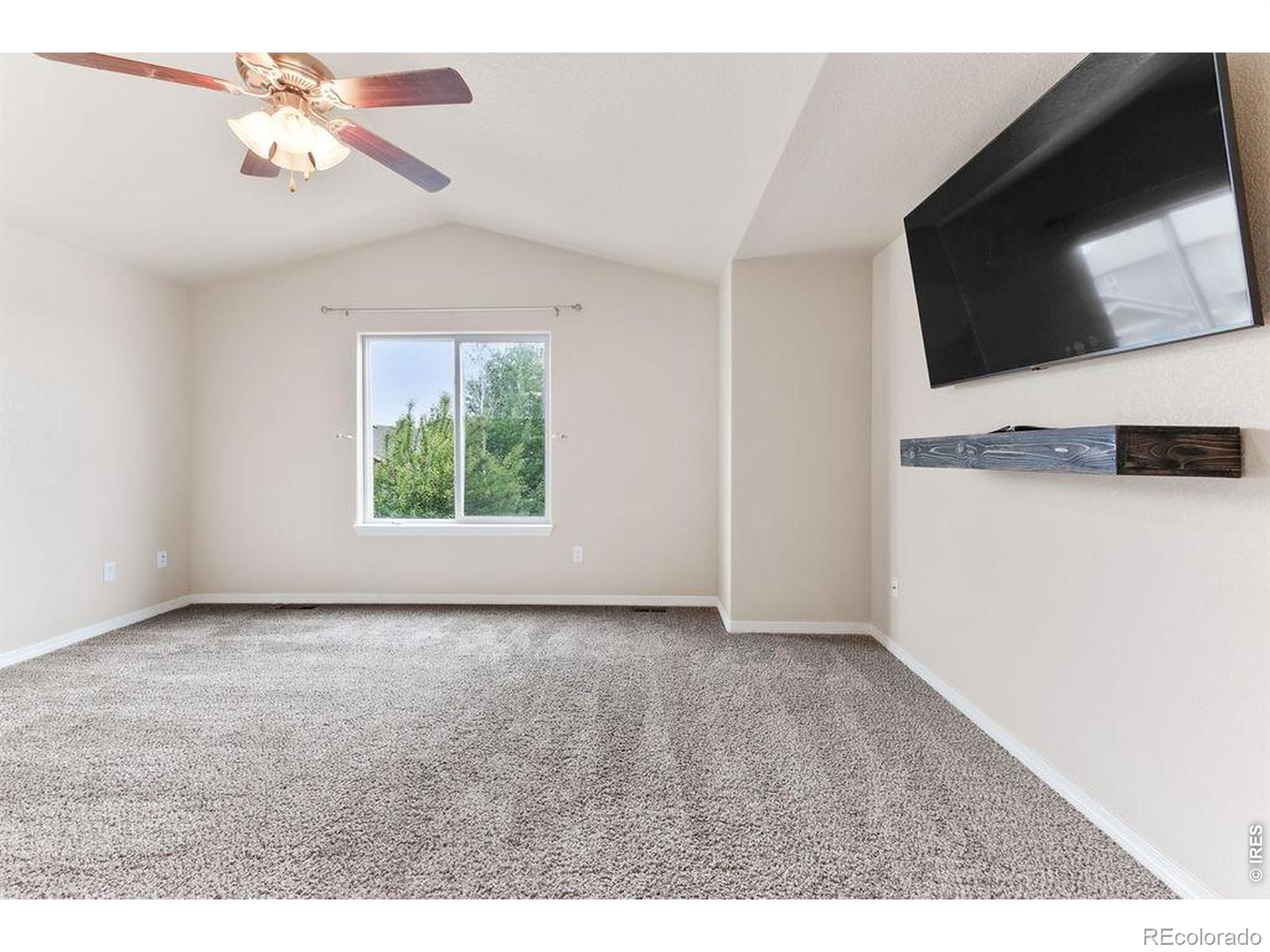 896 Antila Avenue Loveland CO 80537