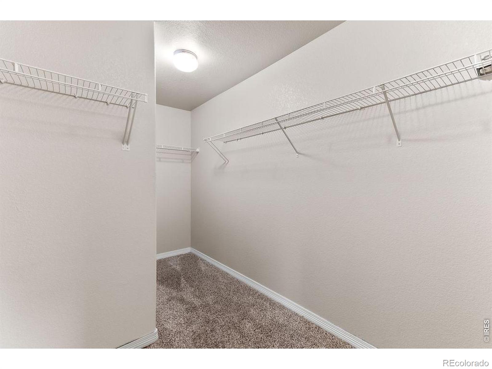 896 Antila Avenue Loveland CO 80537