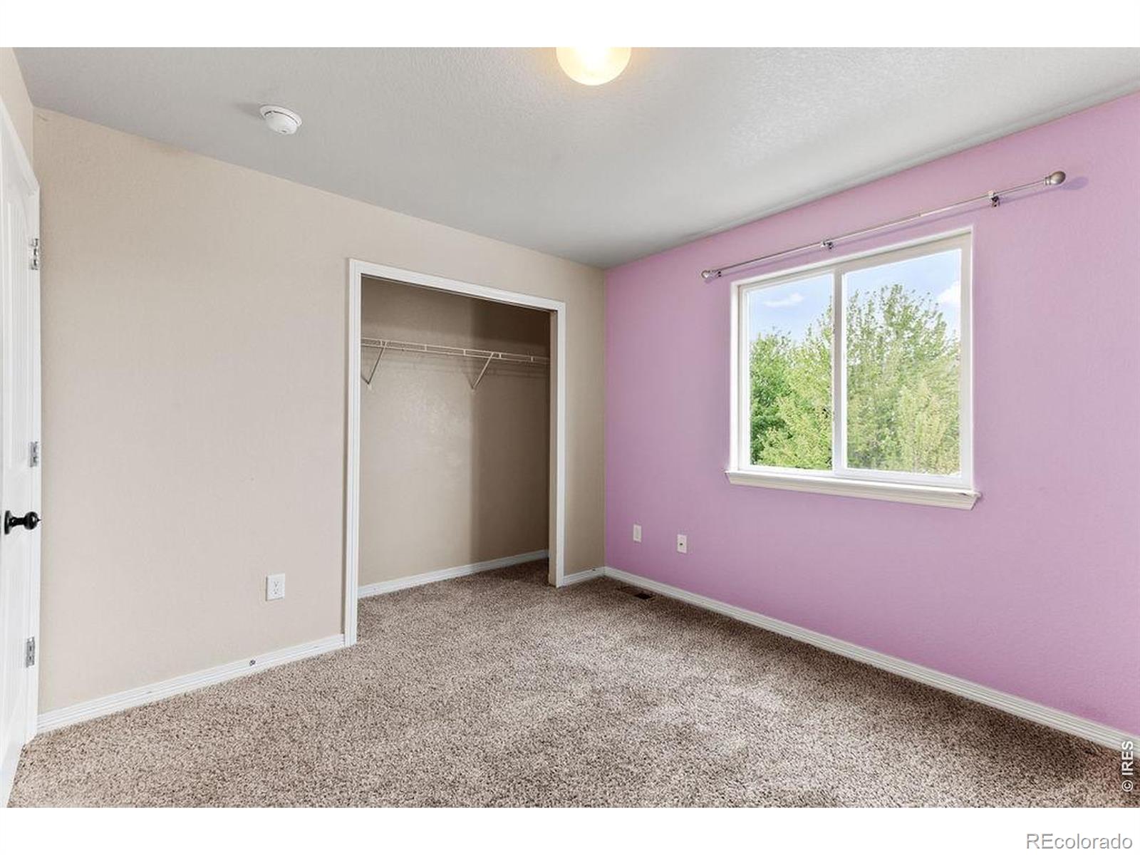 896 Antila Avenue Loveland CO 80537