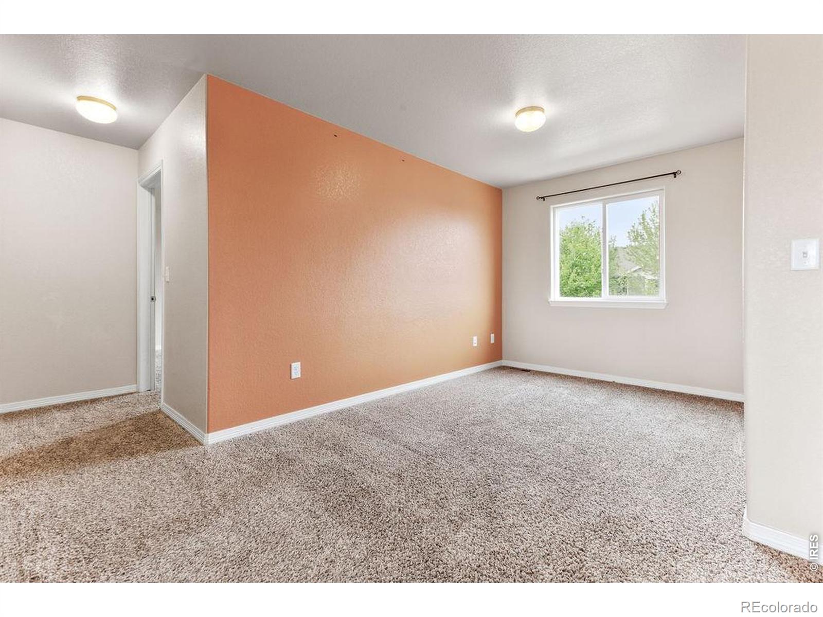 896 Antila Avenue Loveland CO 80537