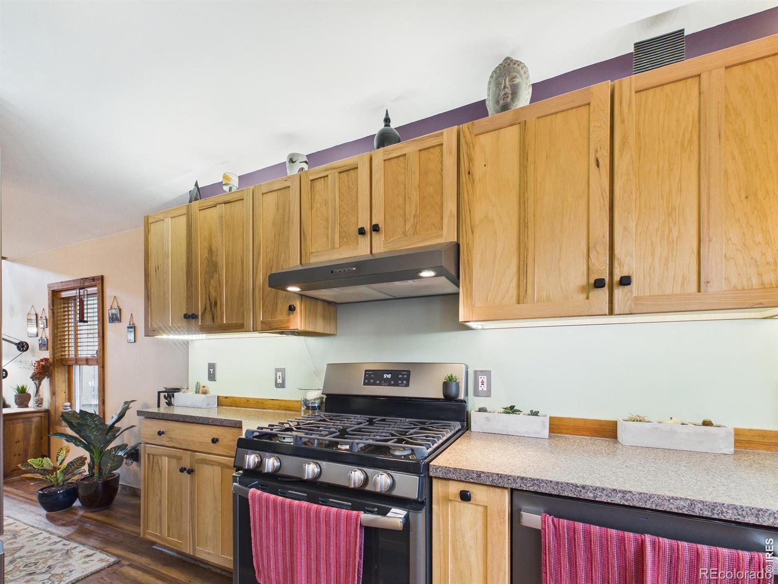 131 W Boulder Street Nederland CO 80466