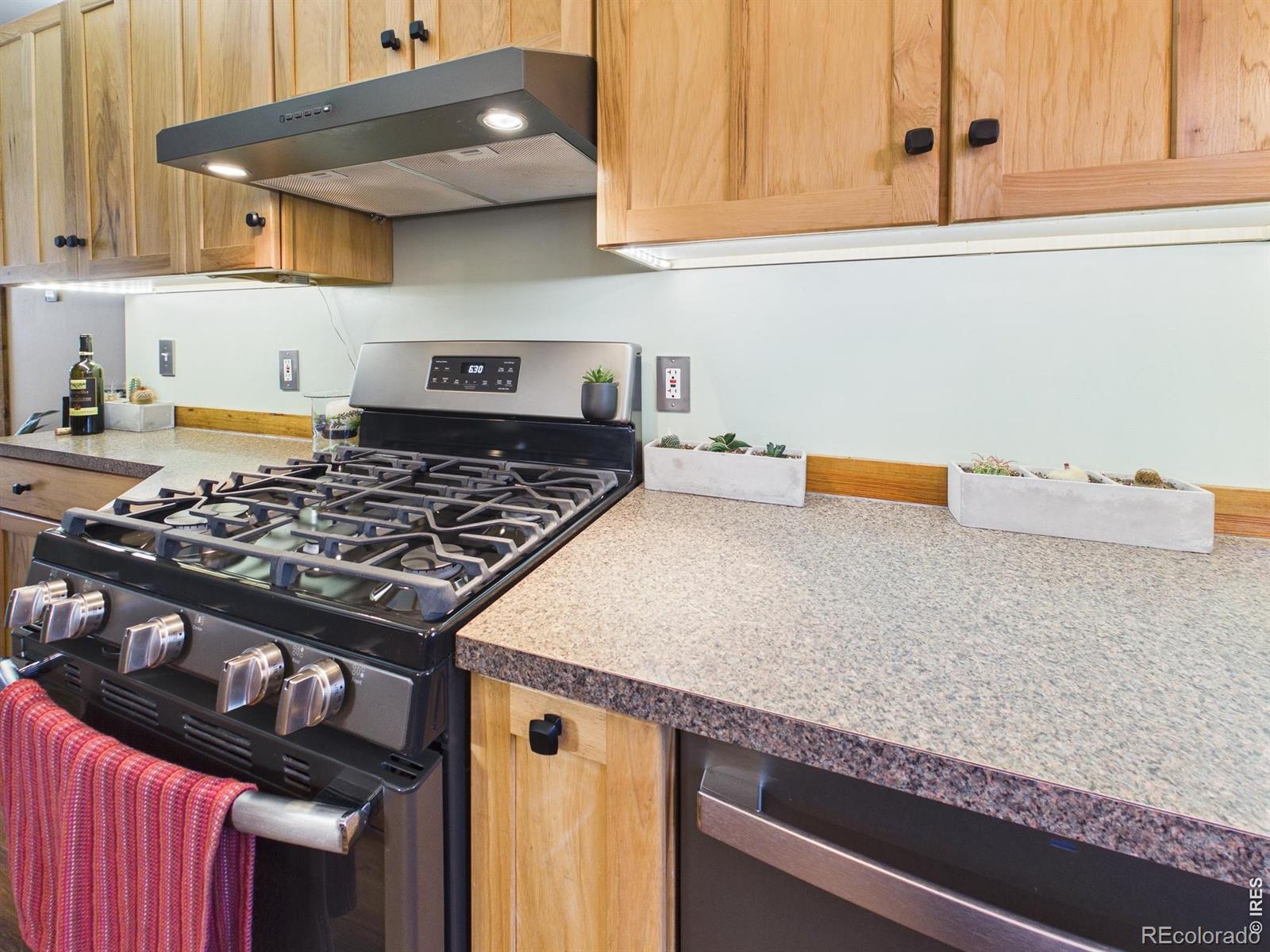 131 W Boulder Street Nederland CO 80466