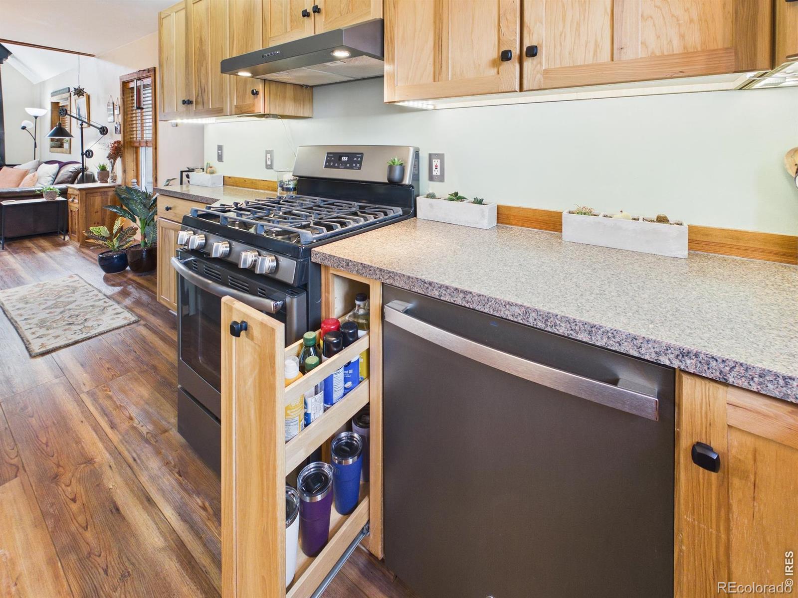 131 W Boulder Street Nederland CO 80466