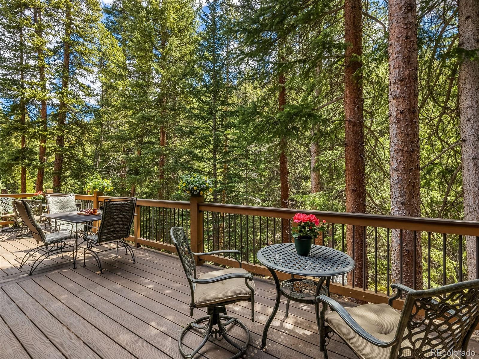 68 Sherwood Lane Blue River CO 80424