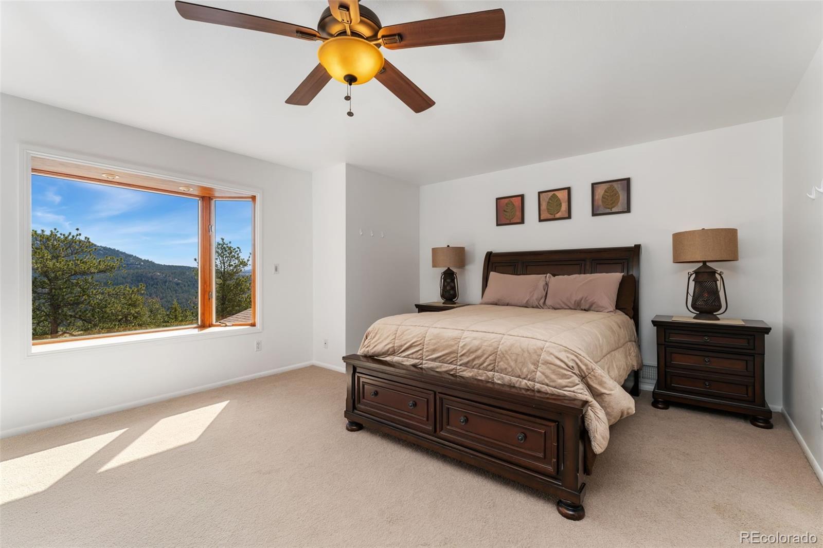 89 Jones Creek Lane Pine CO 80470