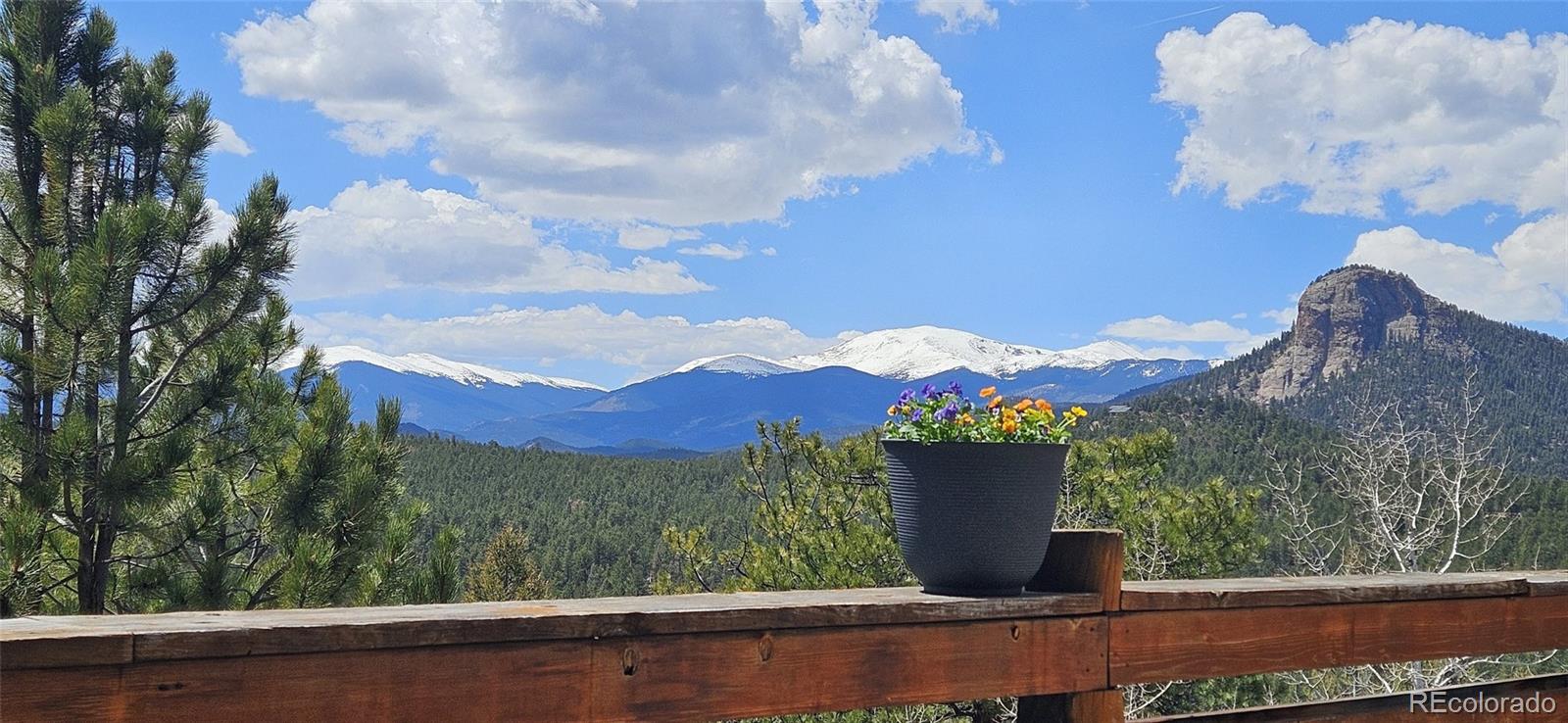 89 Jones Creek Lane Pine CO 80470