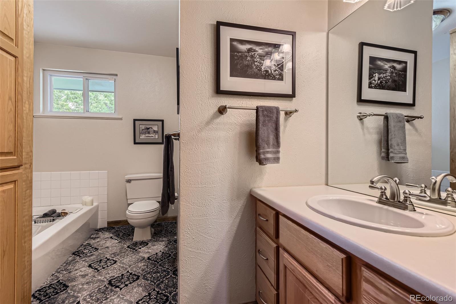 1651 E Kettle Avenue Centennial CO 80122