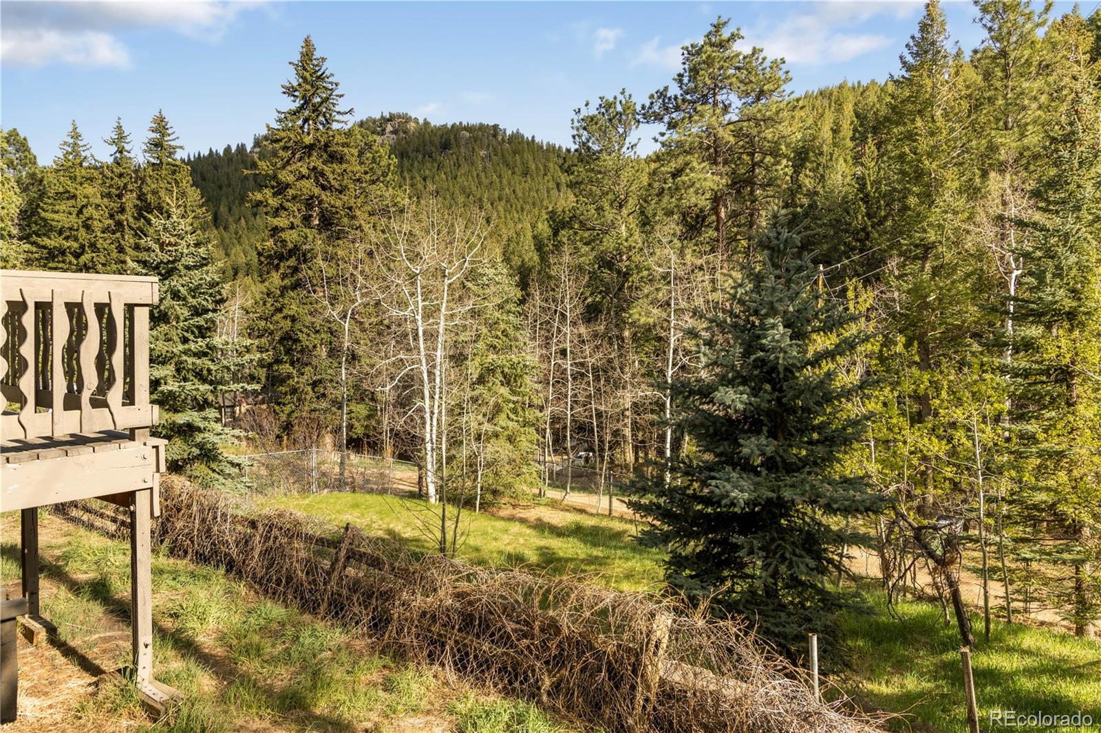 1264 Beaver Brook Canyon Road Evergreen CO 80439