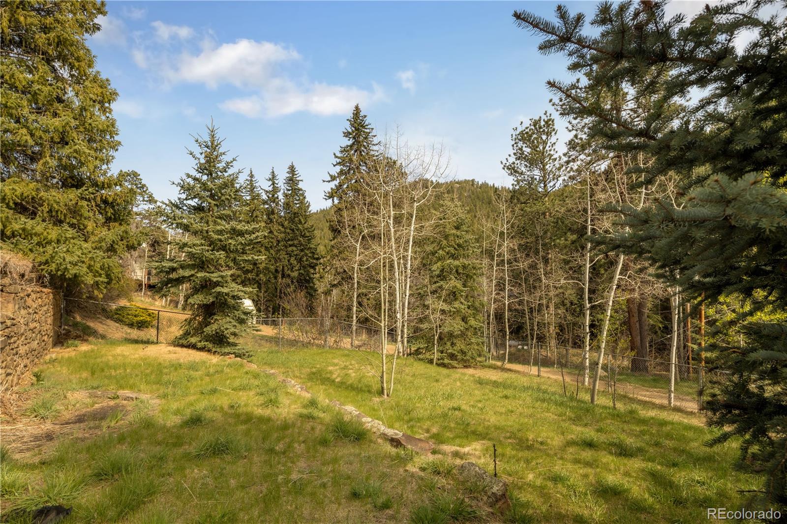 1264 Beaver Brook Canyon Road Evergreen CO 80439