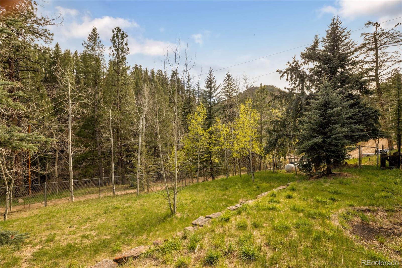 1264 Beaver Brook Canyon Road Evergreen CO 80439