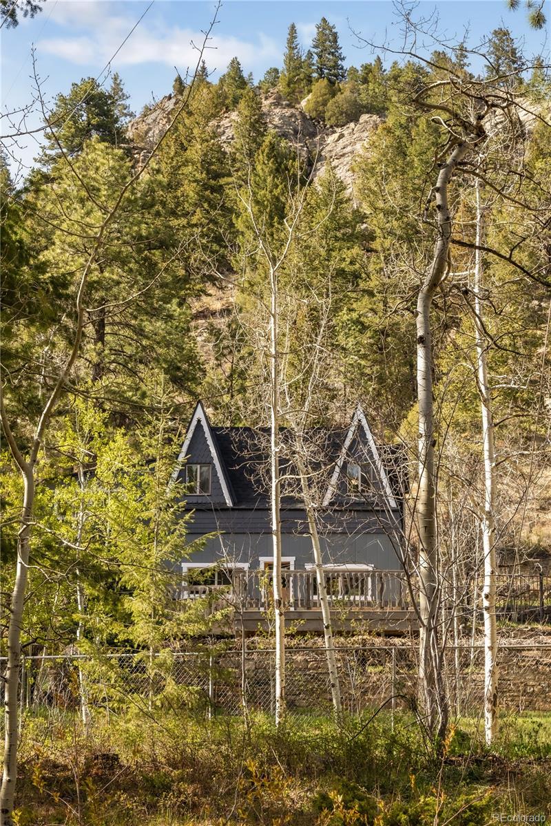 1264 Beaver Brook Canyon Road Evergreen CO 80439