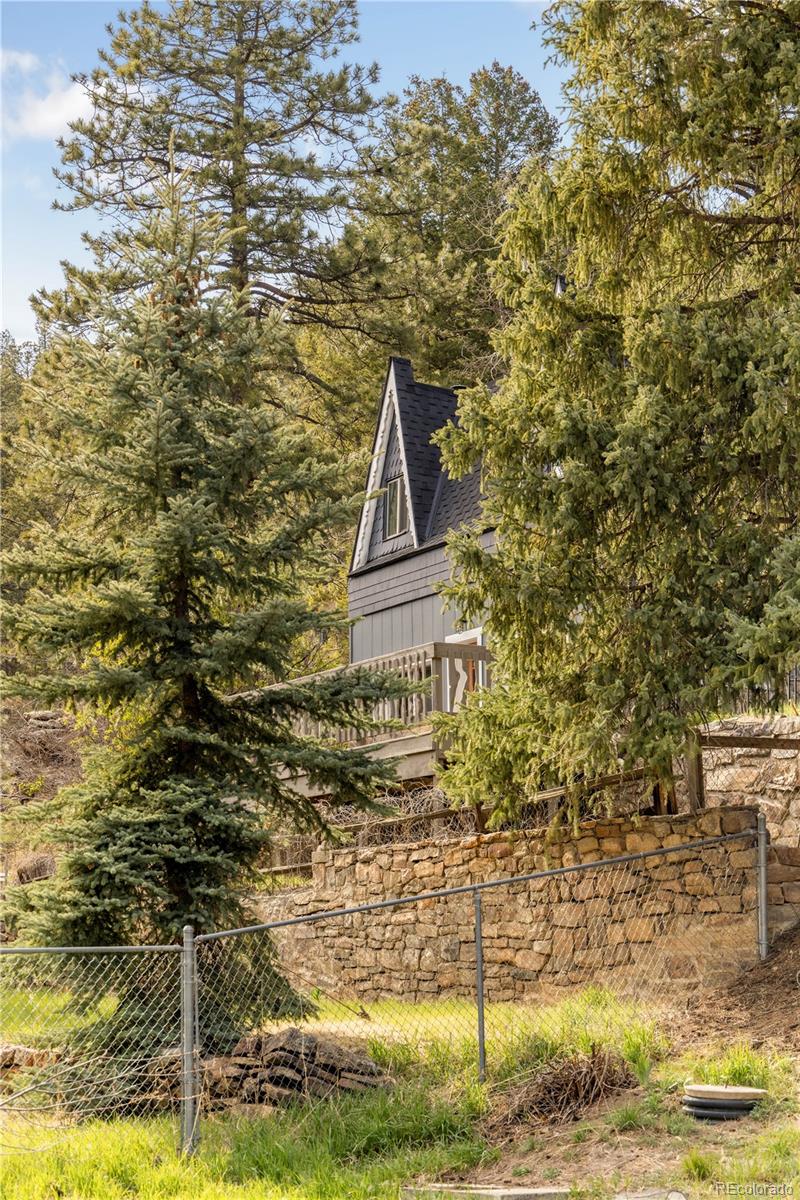 1264 Beaver Brook Canyon Road Evergreen CO 80439